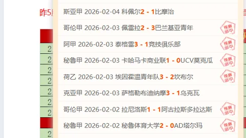 2025年西蒙国家队点球战七次神扑，仅略输大马丁一筹。